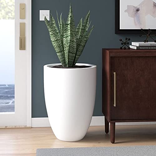 TIO's Fibreglass Garden Big Size Gamla Gardenix Decor Planter Suitable for Indoor Outdoor and Gardening, Size:- Height: 18 Inch, Width: 13 Inch, Length: 18 Inch, White