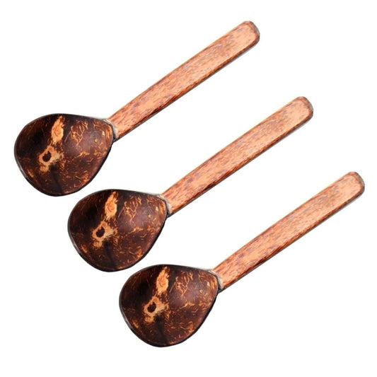 TIO's India Coconut Soup Spoon (Pack of 3)