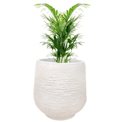 TIO's Light in weight & Highly Durable & Sturdy Stone Round Planter, (White, 14 inches)